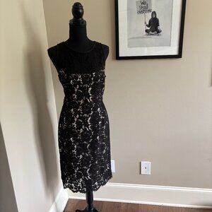 WHBM Black Lace Dress Size 10